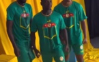 Qatar 2022: Le nouveau maillot de Puma pour les "Lions", appréciez!