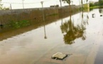 Dégâts des inondations à Fatick : Des maisons sous les eaux, des cases tombées, des champs submergés…