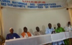 Campagne d’exploitation forestière 2013-2014 : Des exploitants forestiers soupçonnent des magouilles