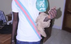 Vieux Ndiaye: Le photographe de L'As lâchement agressé à Ouakam !