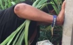 Elle tue sa domestique puis jette le corps dans un buisson