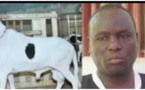 Associations de malfaiteurs et vol en réunion: Les voleurs de moutons de Boy Kaïré encourent 20 ans de travaux forcés