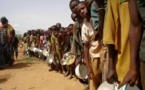Diourbel : 19% des enfants souffrent de malnutrition chronique