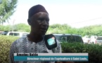 Forum de Saint-Louis sur le gaz, le pétrole et le contenu local : Amadou Baldé , Directeur régional de l’agriculture revient sur les niches d’espoir