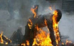 Goudiry : Un charbonnier meurt carbonisé dans un feu de brousse