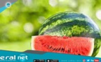 Ndioum / Pastèques: Un goût suave, onctueux, mais pas juteux pour les vendeurs, "sucés" par le...