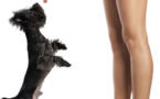 Pour un couple qui dure, traitez votre partenaire comme un chien