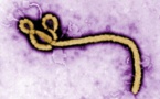 Un sérum secret contre le virus Ebola ?