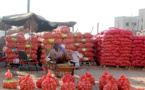 Colère des commerçants importateurs du Sénégal : Ils menacent de boycotter l’importation de l’oignon