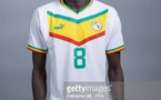Photos : Les "Lions" posent avec les nouveaux maillots