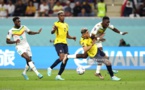 CM2022: Les images de la victoire du Sénégal face à l'Equateur