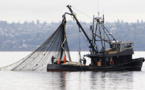 Subventions de la pêche: L’accord en gestation de l’Omc exposé