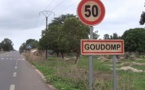 Goudomp:  Des expatriés en croisade contre le péril environnemental