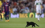 Photos-Les « Xons » du Barça: Un chat noir au Camp Nou