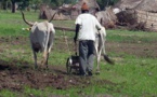 Cri du cœur pour le monde rural - Par Cheikh Fatma Mbacké