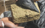 Chanvre indien : Un Bissau-guinéen arrêté avec 20 plants et 88 cornets à Tivaoune Peulh