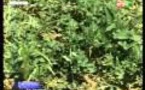 Infos matinales du lundi 02 septembre 2014 - RTS1