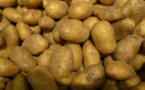 Vente de pommes de terre impropres à la consommation, entre Pikine et Keur Massar : Deux individus placés en garde-à-vue