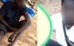 Meurtre d’une Franco-sénégalaise à Somone : Les aveux des présumés meurtriers