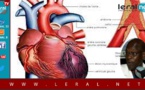 Leral Santé - Maladies cardio-vasculaires : Causes, symptômes et méthodes thérapeutiques