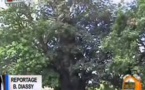 Infos matinales du lundi 22 septembre 2014 - avec Fatima Ba - Tfm