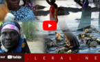 A la rencontre des femmes transformatrices de la Lagune de Somone (Vidéo)