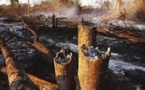 Ranch de Dolly : Un feu de brousse a ravagé 1 955 hectares