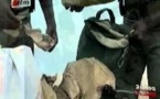 Vélingara : un trafiquant de chanvre indien arrêté à Linkéring par des agents de sécurité de proximité