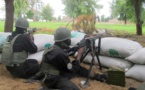 Cameroun: au moins 8 morts dans une attaque d'islamistes nigérians