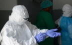 Ebola: la Banque mondiale craint un désastre économique en Afrique
