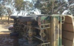 Ziguinchor : Un véhicule militaire se renverse...Un mort et plusieurs blessés !