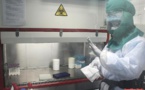 Ebola, un virus anti-intégration