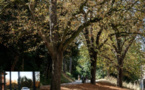 Horreur à Paris : Un corps de femme découpé, retrouvé dans le parc des Buttes-Chaumont