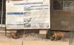 Kaolack : La mairie de Serigne Mboup assiégée
