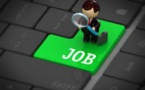 Leral/Job :  Un chauffeur professionnel cherche emploi