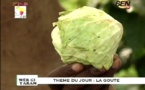 Wér Gui Waram du jeudi 23 octobre 2014 - Sen-Tv