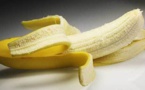 5 aliments remèdes pour diminuer votre tension artérielle