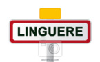 Linguère : Le budget du conseil départemental s’élève à 127millions
