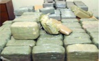 Trafic international de drogue: 2 beaux-frères interceptés avec 174 kg de « yamba »