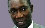 Me Amadou Sall : «S’ils veulent arrêter Wade, qu’ils le fassent ! »