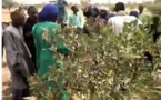 Le foncier encore source de conflit : Bagarre entre forces de l'ordre et les habitants de Mbane