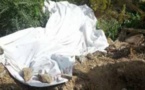 Nouvelle profanation de tombe à Kolda : Un jeune arrêté avec un crâne et des os d’un cadavre humain