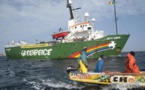 Altercations entre pêcheurs à Cayar :  Greenpeace appelle au calme