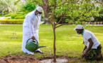 Forte canicule à Tambacounda : Le gouverneur invite chaque jeune à planter un arbre