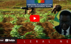 Amadou Bâ, premier Ministre: "Nous pouvons faire de la campagne agricole, un véritable succès, si nous travaillons ensemble, avec diligence..."