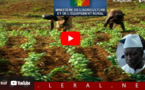 Conseil interministériel sur la campagne agricole : Aly Ngouille Ndiaye promet un budget plus élevé cette année