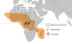 Eutelsat-Spacecom: Accord inédit pour une meilleure diffusion en clair des programmes TV en Afrique