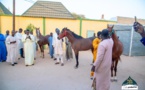 Omar Bayo mou Serigne Mountakha offre trois chevaux de course au Khalife général des Mourides (Photos)