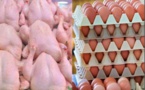 Dr. Mathioro Fall, Direction des services vétérinaires : « La consommation d'œufs et de viande ne présente aucun risque pour la santé publique»