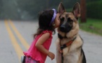 21 raisons pour lesquelles vous devriez remercier votre chien ! La 14 a dû tous nous arriver au moins une fois...